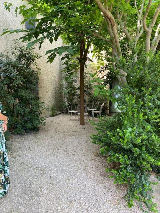 Avec Petit Jardin Appartement *